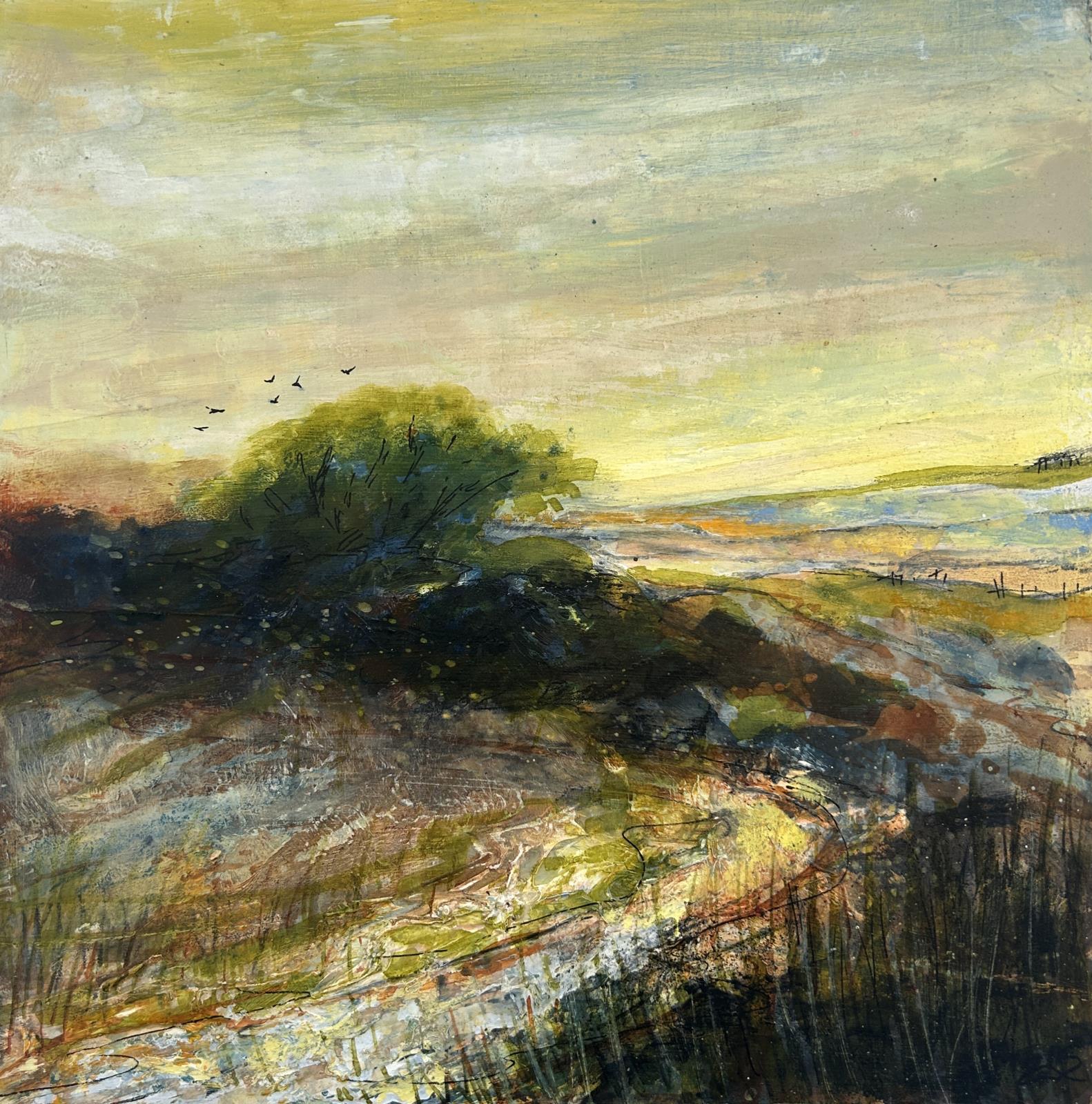 Evening Warmth